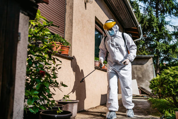 Best Best Pest Control Companies  in Blackville, SC