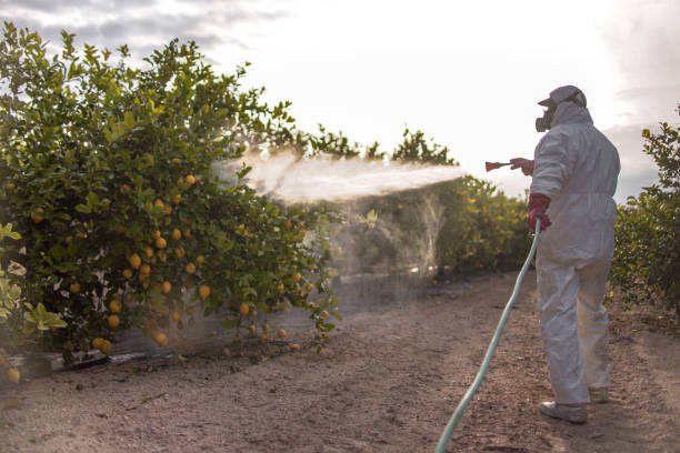 Best Exterminator Services  in Blackville, SC