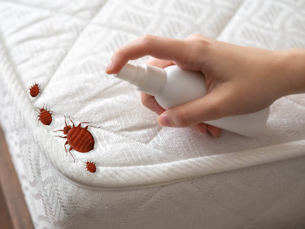Best Best Pest Control Companies  in Blackville, SC