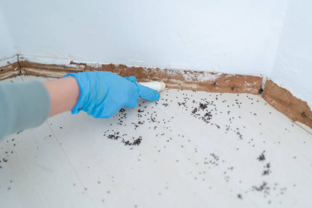 Best Wildlife Control Services  in Blackville, SC