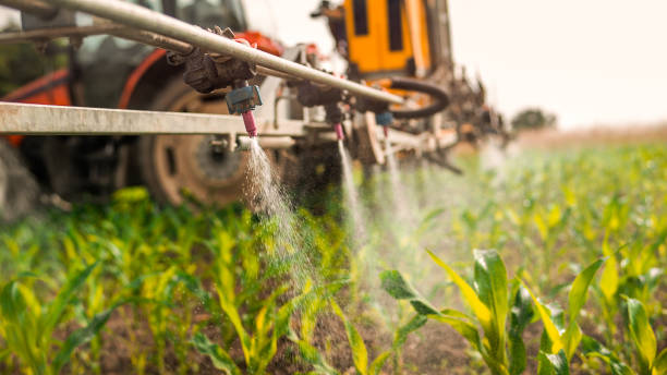 Best Commercial Pest Control Services  in Blackville, SC
